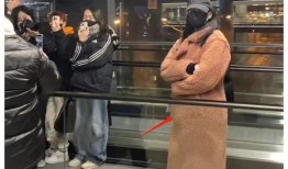 狗仔爆料怀孕最新,明星夫妇喜得贵子，甜蜜孕期曝光