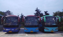 诸暨公交车爆料视频最新,揭秘公交安全与文明出行新篇章